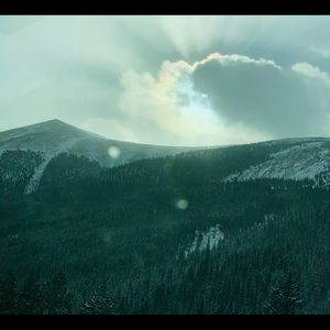 Meet your Posher, Isabella